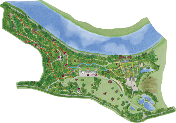 The Garden Map