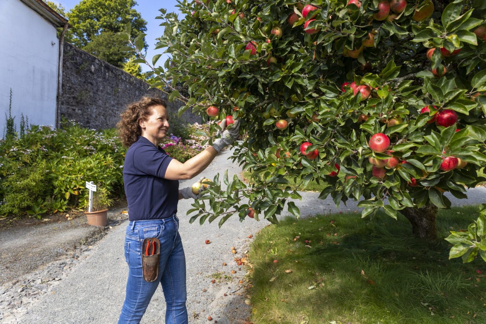 Meet the Gardeners