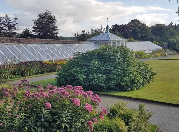 Georgian Glasshouse