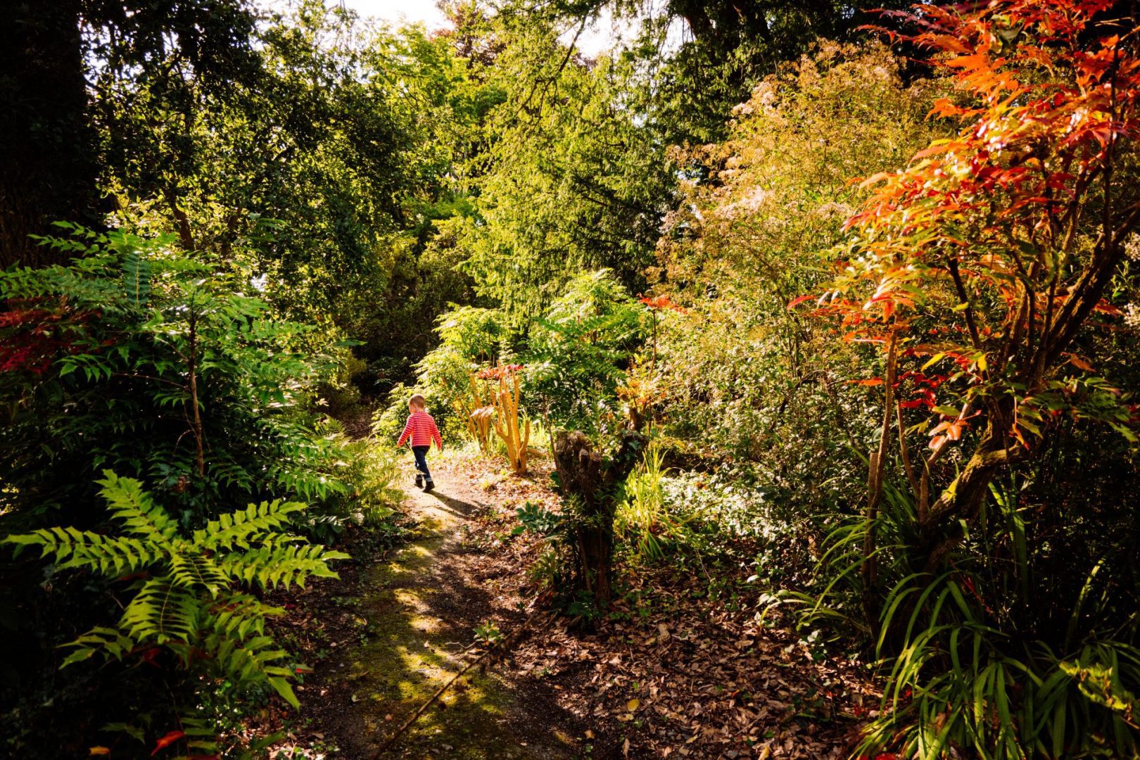 Mount Congreve, where even U2 band member has a flower named after him, re-opens after €6 million investment