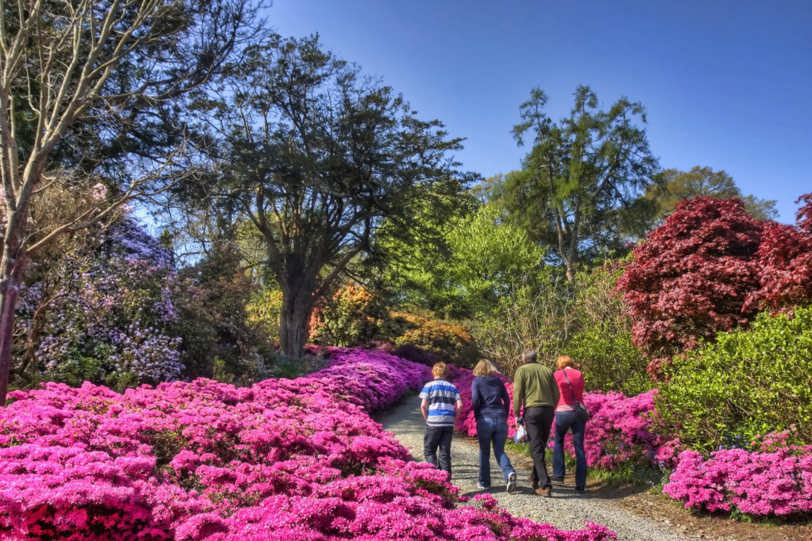 Mother’s Day Garden Tour