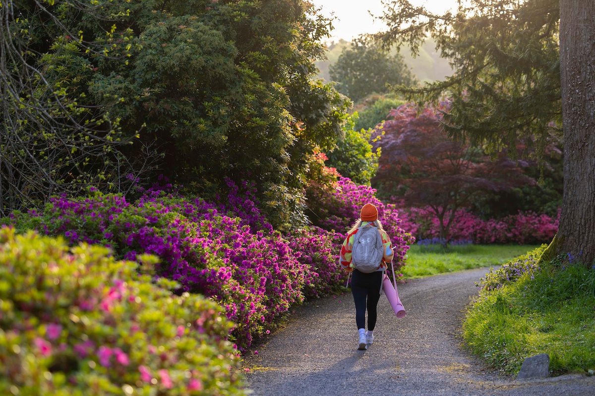 Yoga in the Gardens