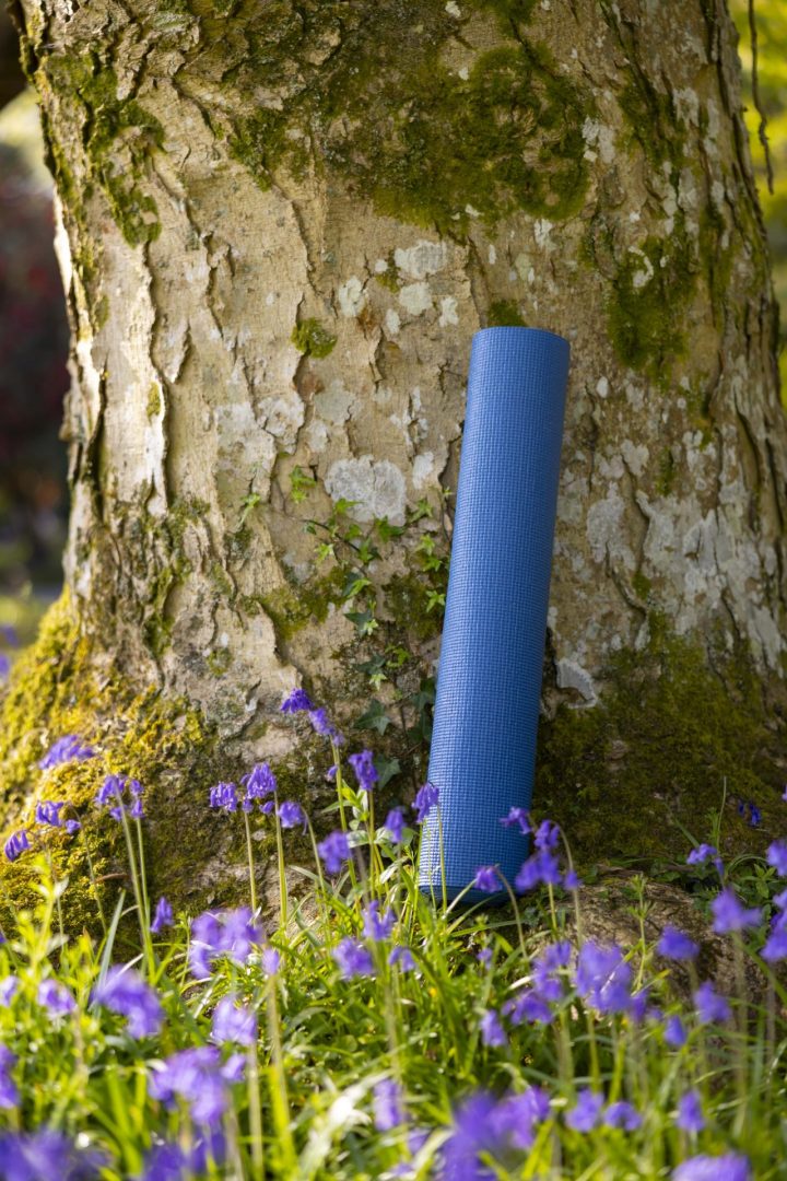 Saturday Yoga in the Gardens