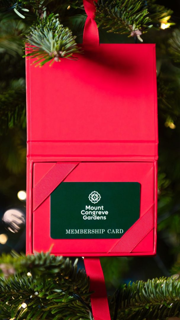 <h1>...A Gift to Treasure, Season After Season!</h1>
