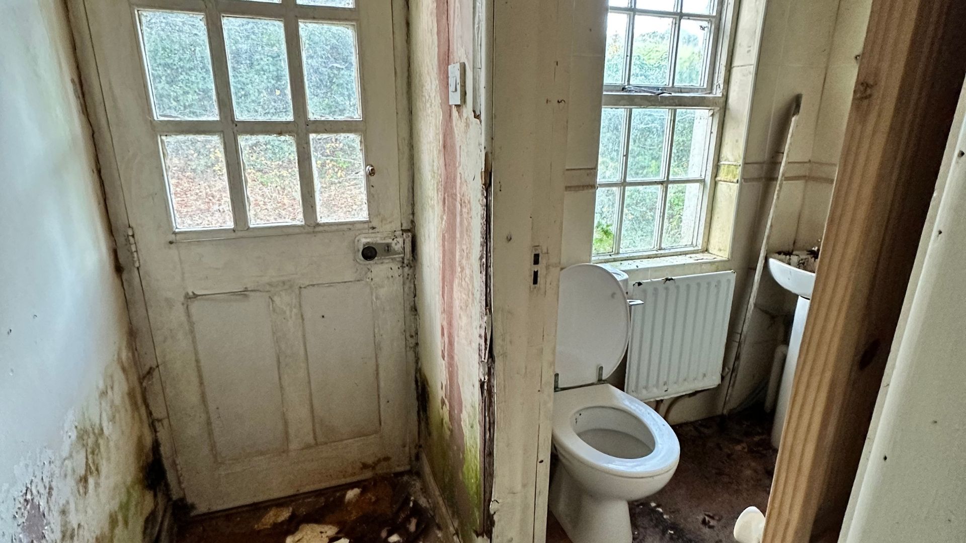 Back door and toilet