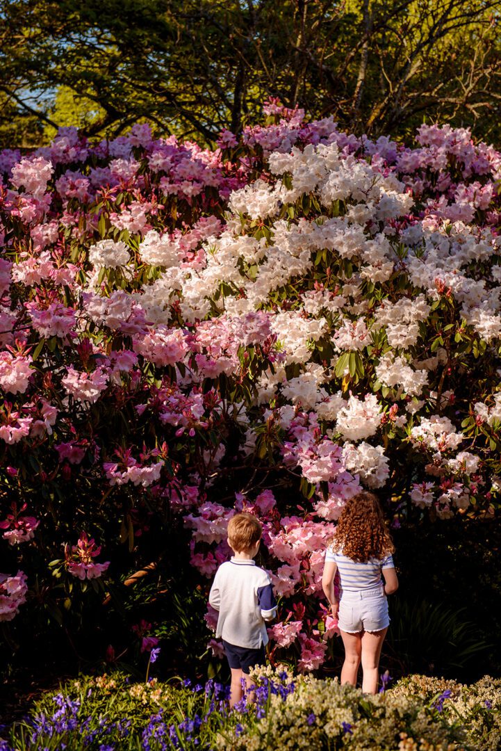 Easter Explorer Irish Bird & Wildlife Walk